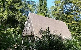 Chalet in de Ardense bossen